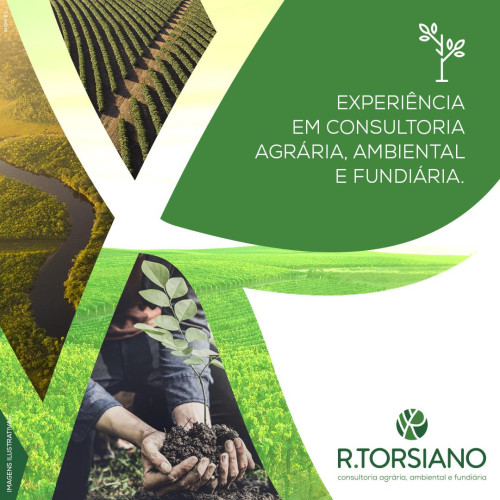 A experiência que você precisa