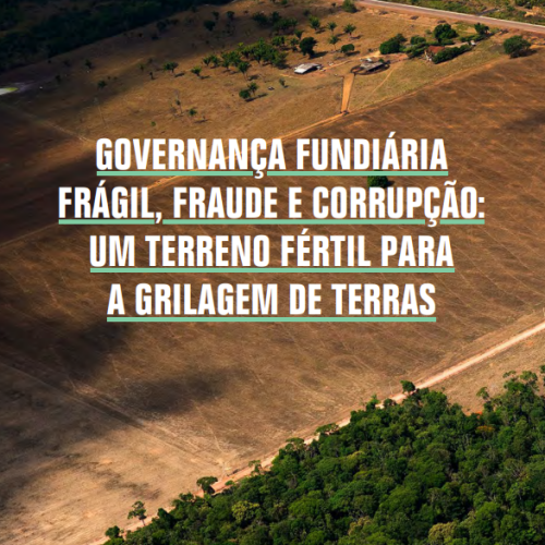 Diretor da R.TORSIANO é autor de publicação da Transparência Internacional sobre corrupção e grilagem de terras
