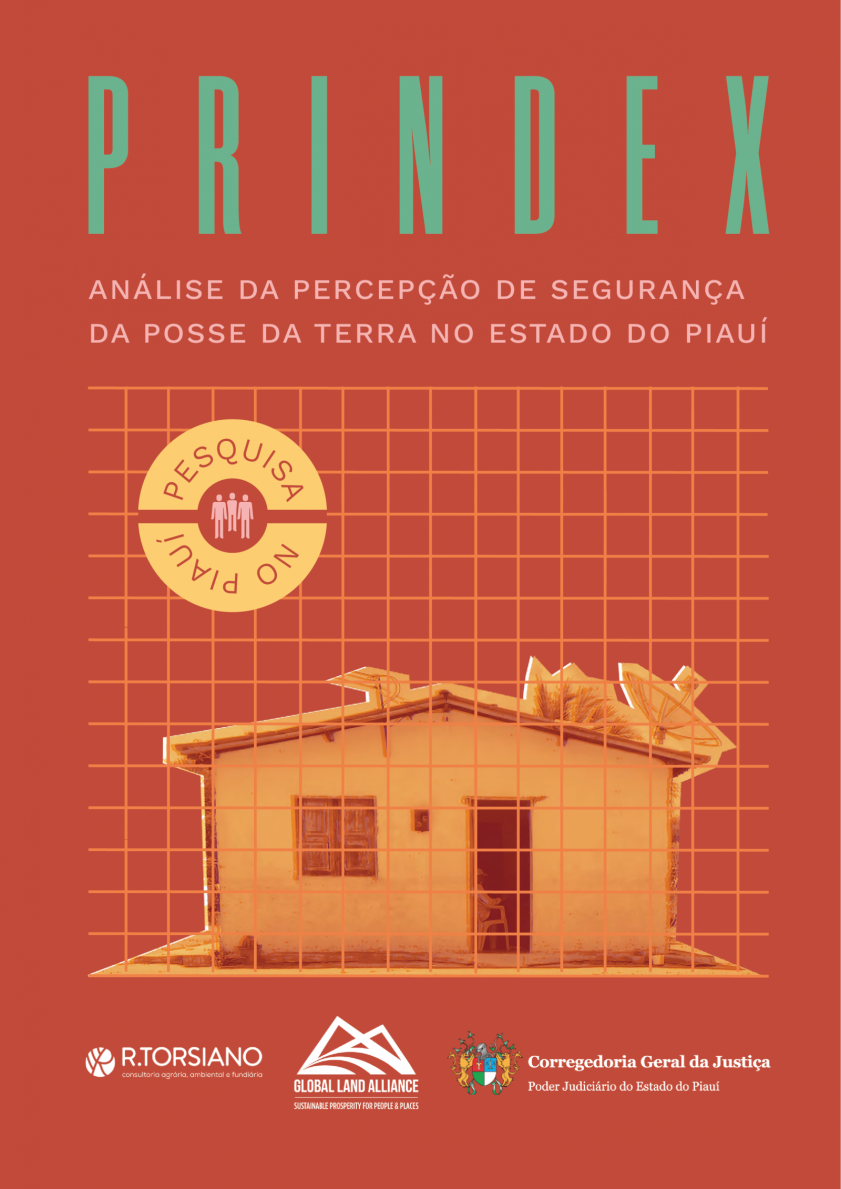 Prindex - Análise Da Percepção De Segurança Da Posse Da Terra No Estado Do Piauí - Português - R.Torsiano